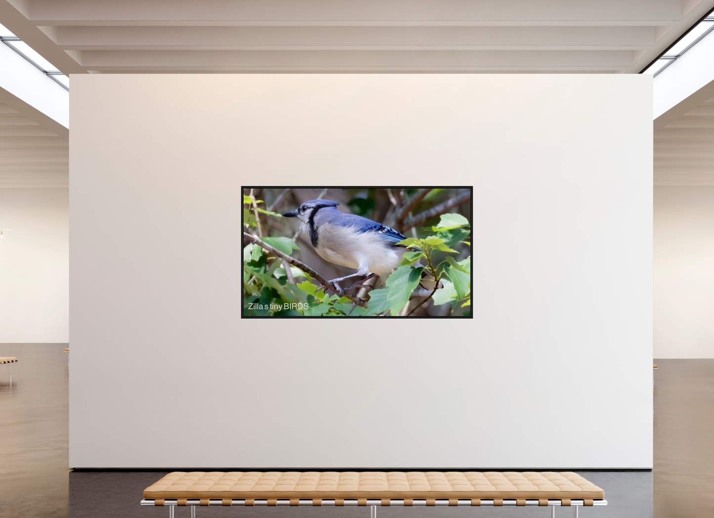 80 x 45″, Floater Frame Zillas Zoom Image 377
