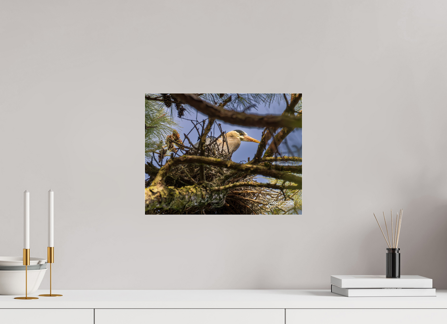15.6 x 12″, Photo Print Under Acrylic Glass Zillas Zoom Image 361
