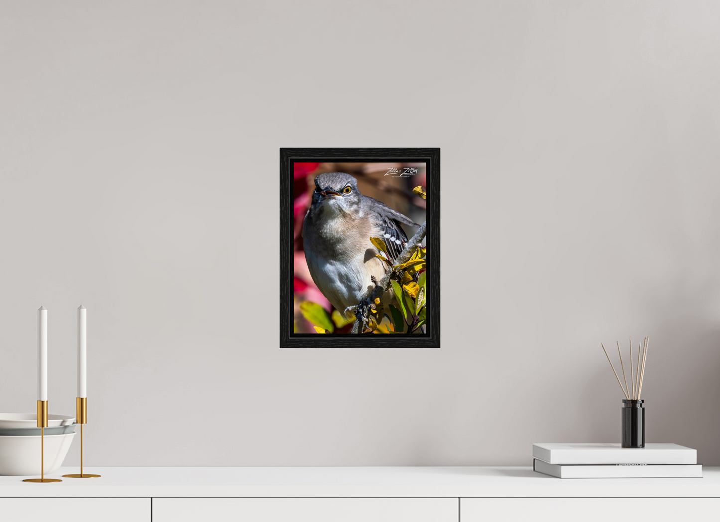 8 x 10.4″, Floater Frame Zillas Zoom Image 402