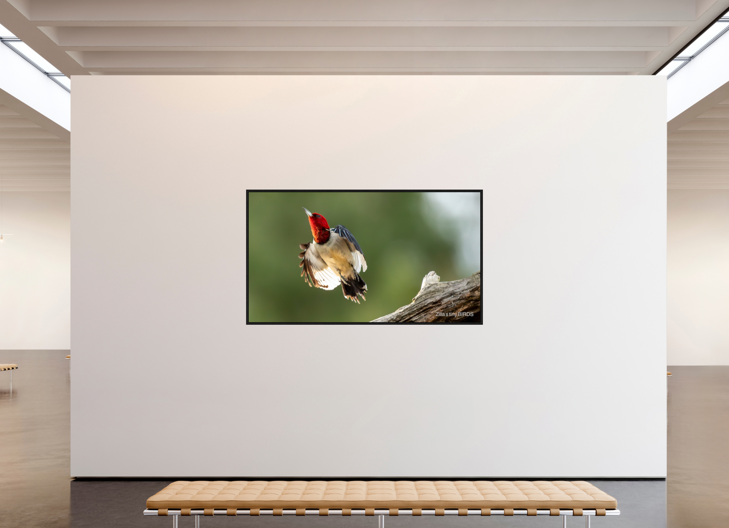 80 x 45″, Floater Frame Zillas Zoom Image 374