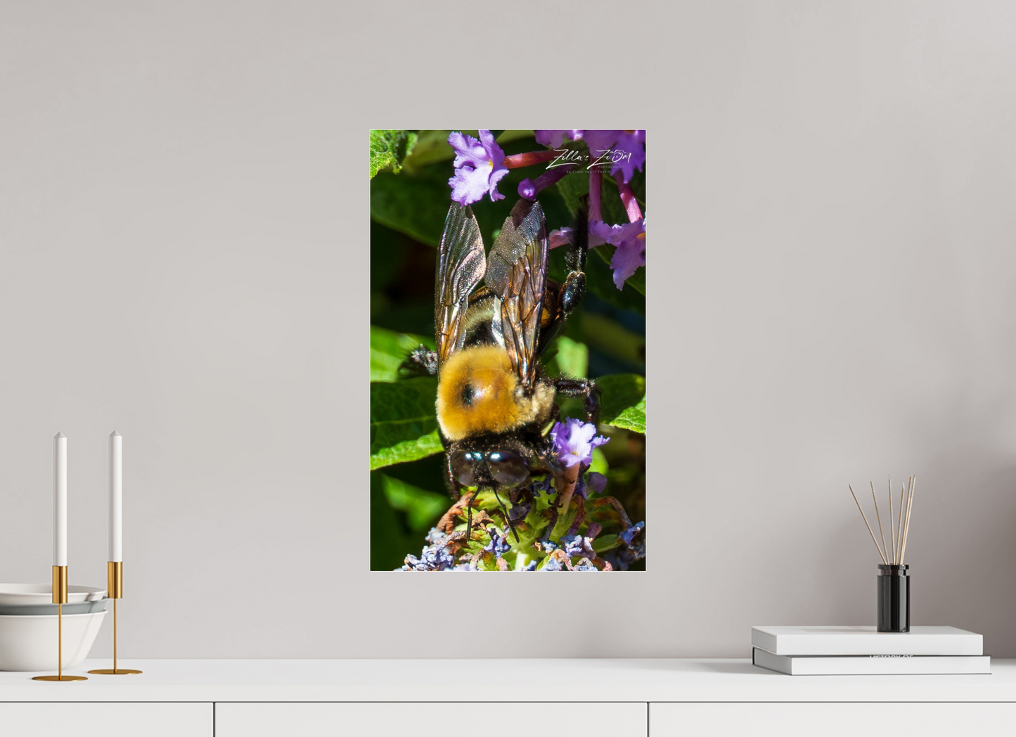 12 x 19.2″, Photo Print Under Acrylic Glass Zillas Zoom Image 109