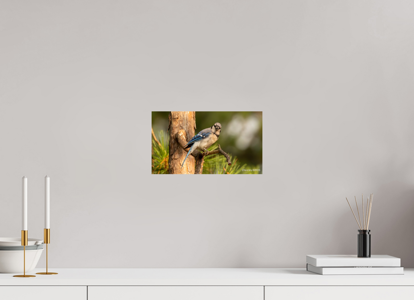 12 x 6.8″, Photo Print On Fuji Crystal DP II Zillas Zoom Image 385