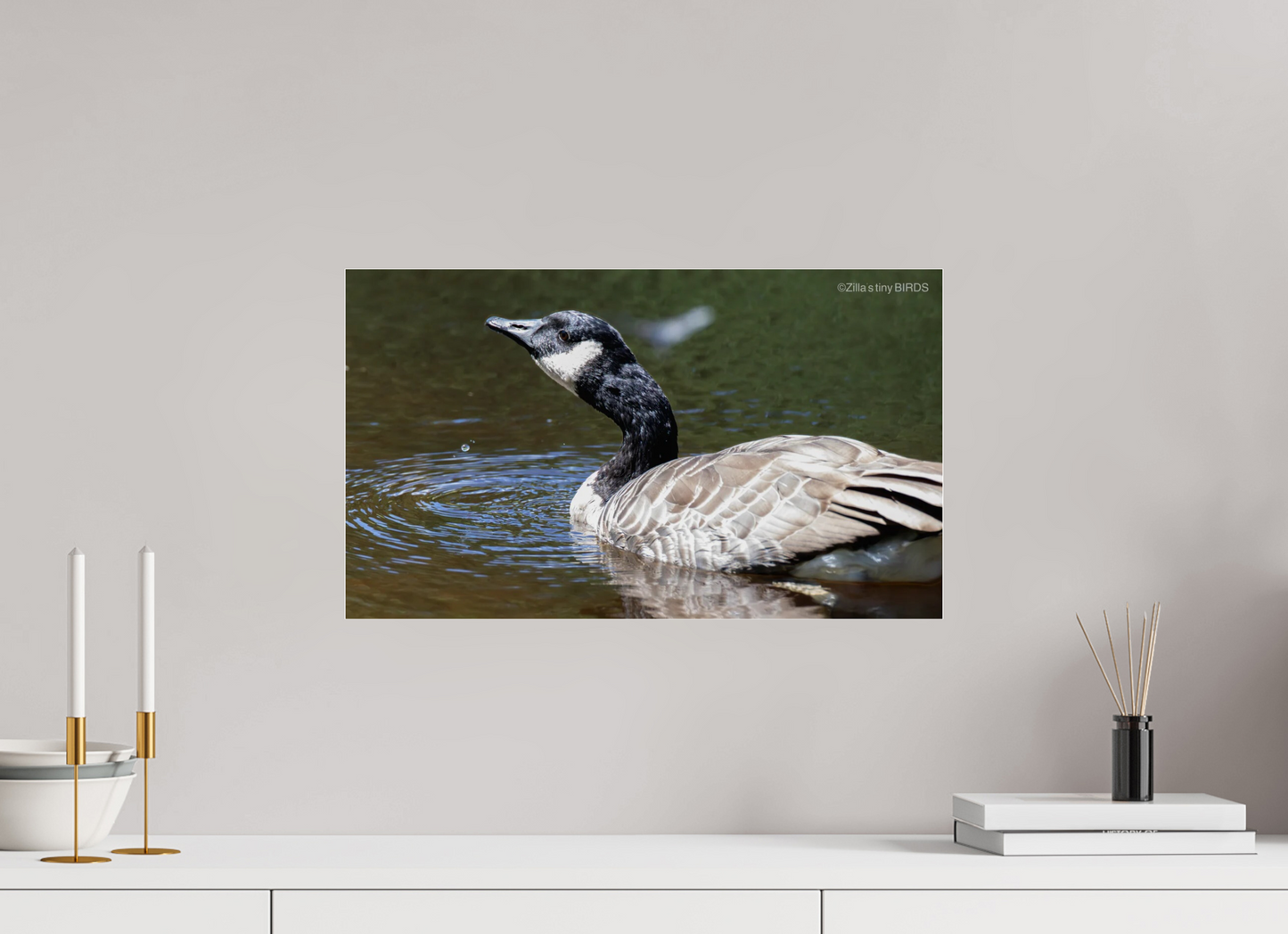 20.5 x 12″, Photo Print Under Acrylic Glass Zillas Zoom Image 315