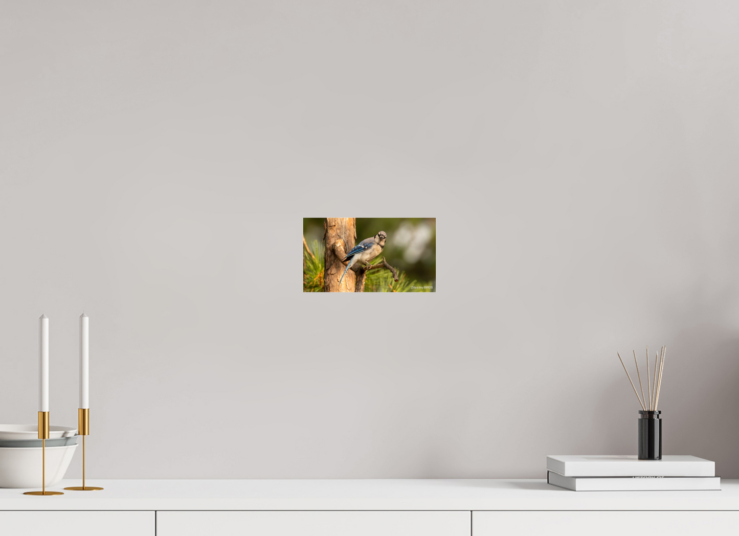 8 x 4.5″, Photo Print Under Acrylic Glass Zillas Zoom Image 385