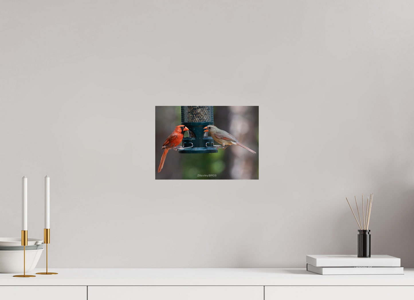 11.2 x 8″, Photo Print On Fuji Crystal DP II Zillas Zoom Image 367