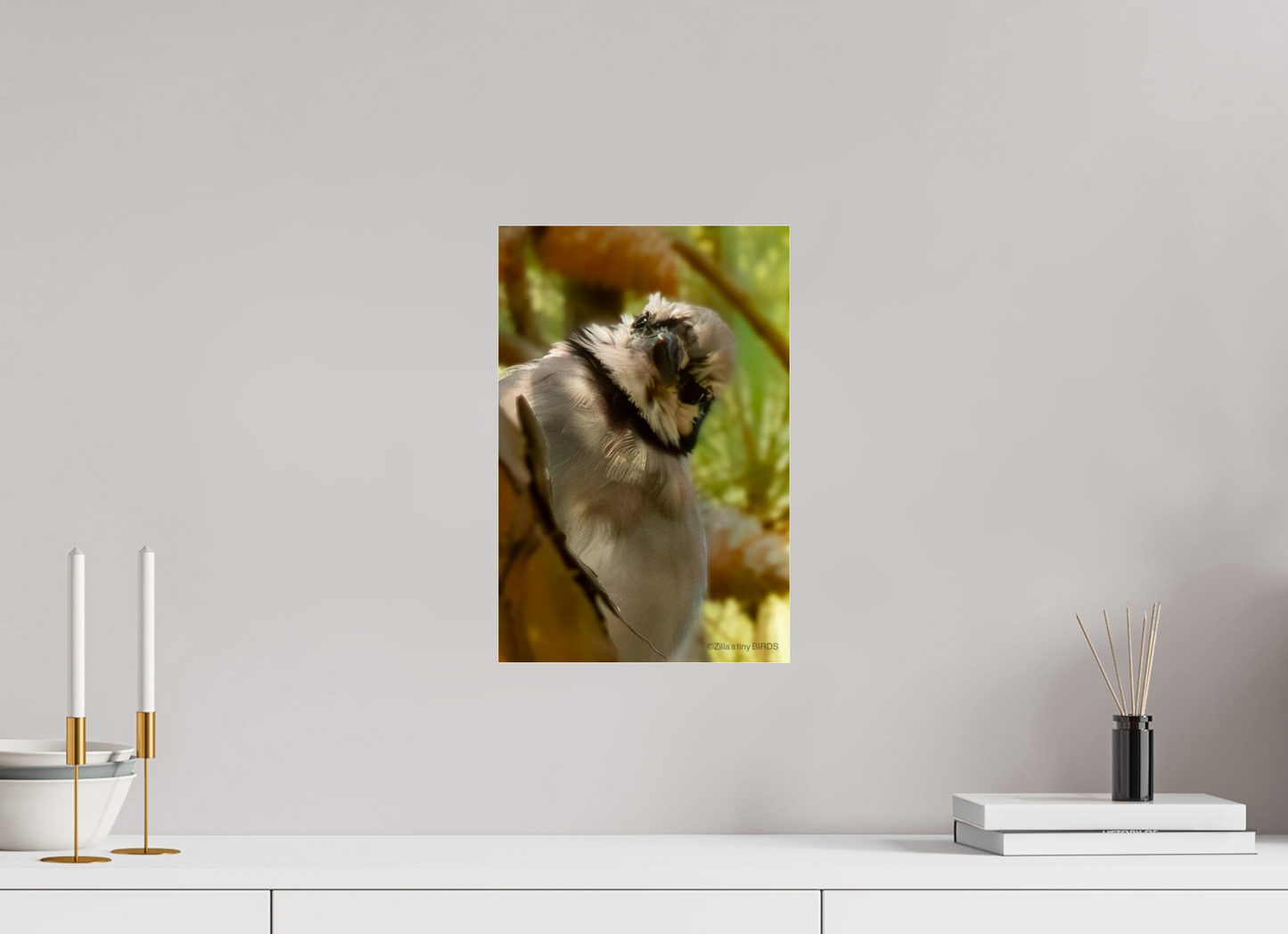 10 x 15″, Photo Print Under Acrylic Glass Zillas Zoom Image 400