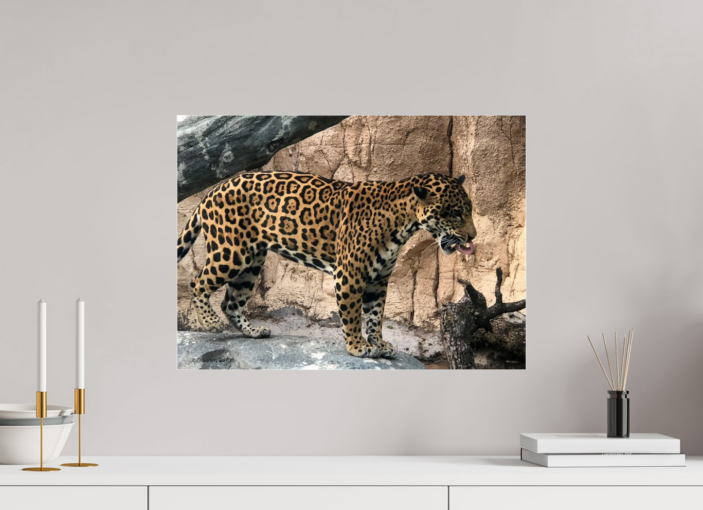 21.9 x 16″, Photo Print Under Acrylic Glass Zillas zoom image 137