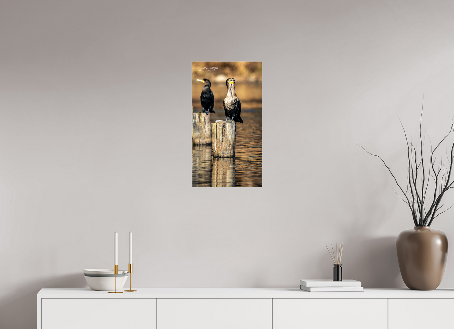 13.5 x 24″, Photo Print Under Acrylic Glass Zillas Zoom Image 426