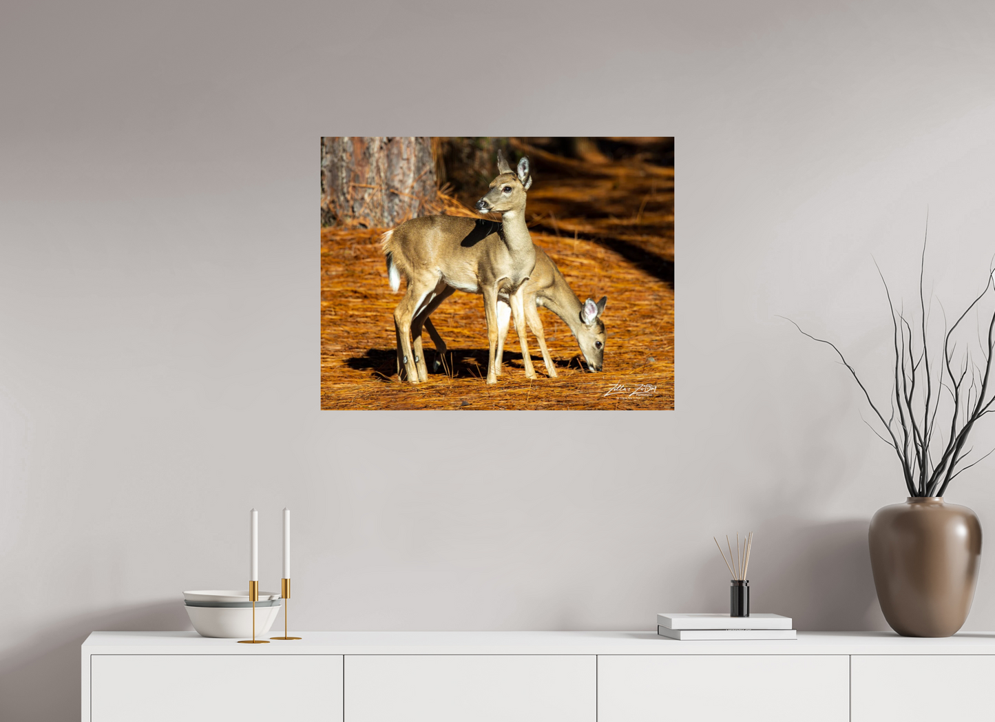 31.1 x 24″, Photo Print On Fuji Crystal DP II Zillas zoom image 144