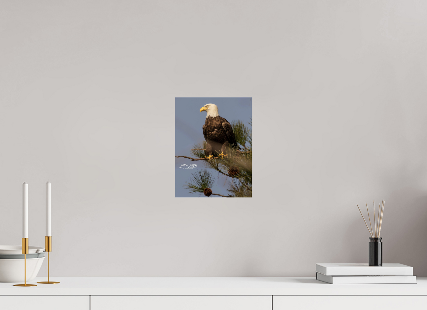 8 x 10.4″, Photo Print Under Acrylic Glass Zillas Zoom Image 413