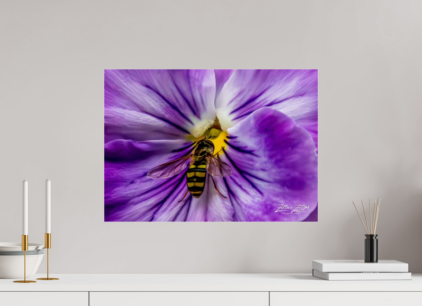 22.4 x 16″, Photo Print Under Acrylic Glass Zillas Zoom Image 103
