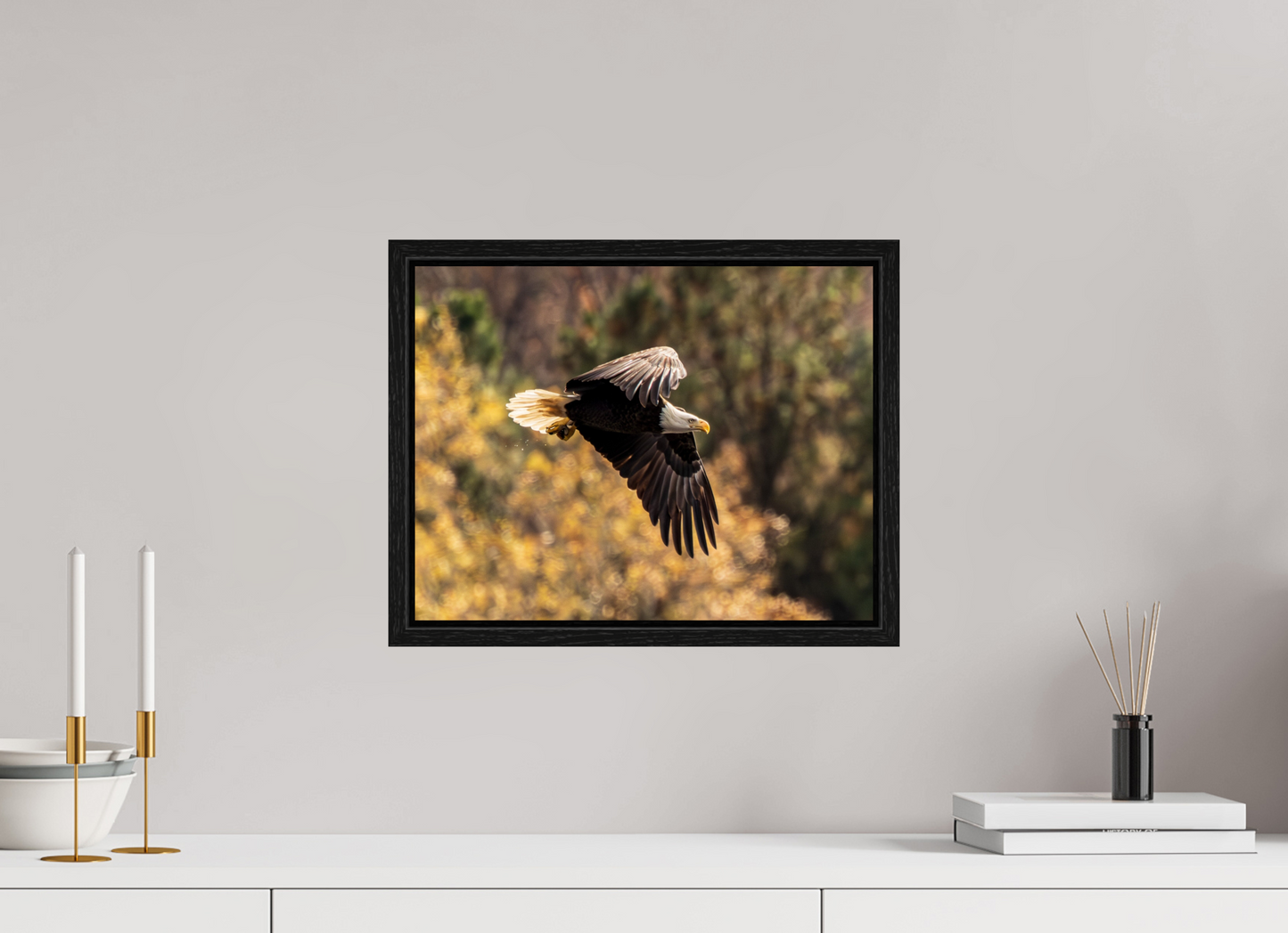 15.5 x 12″, Floater Frame Zillas Zoom Image 395