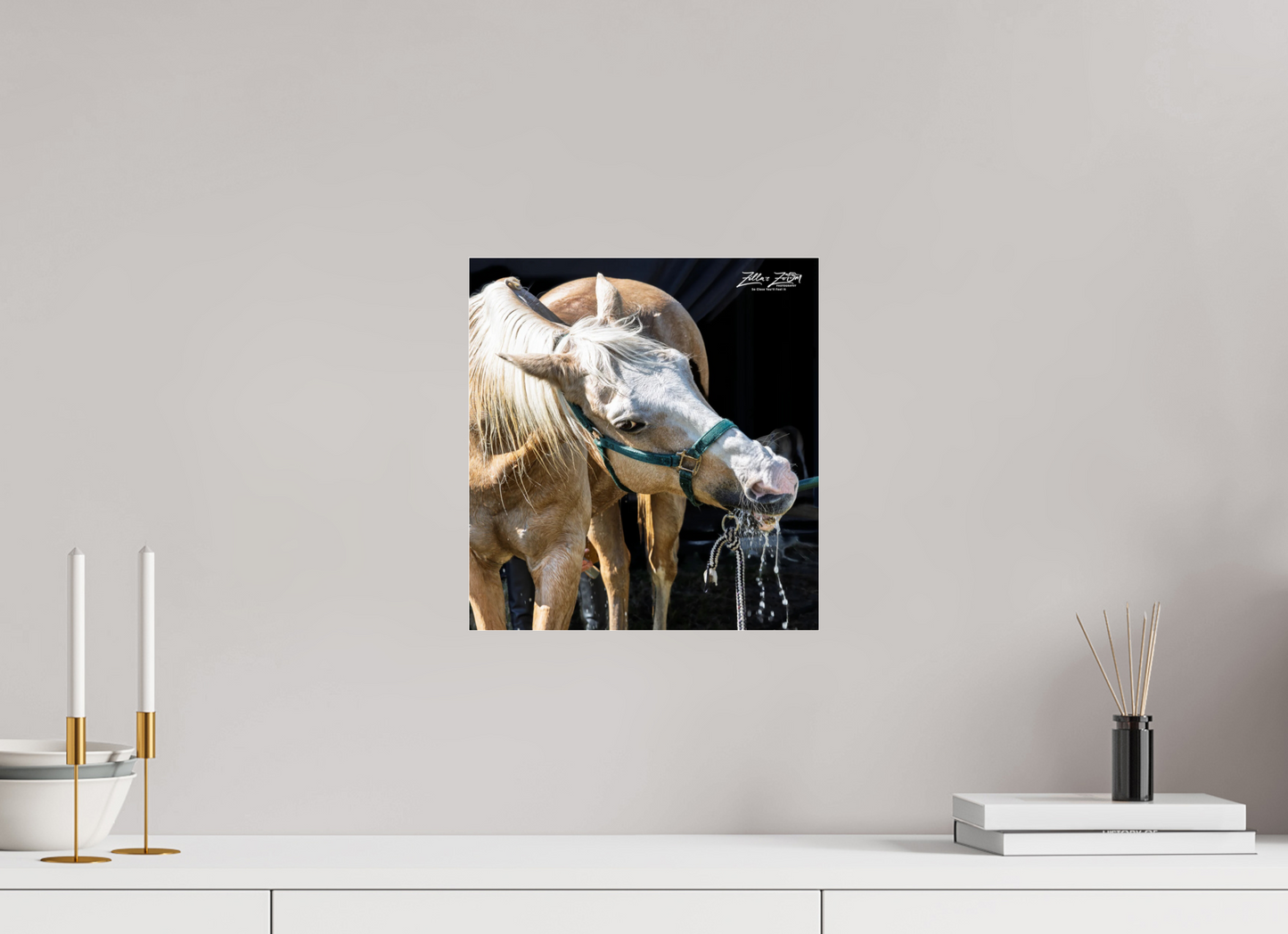 12 x 12.8″, Photo Print Under Acrylic Glass Zillas zoom image 148