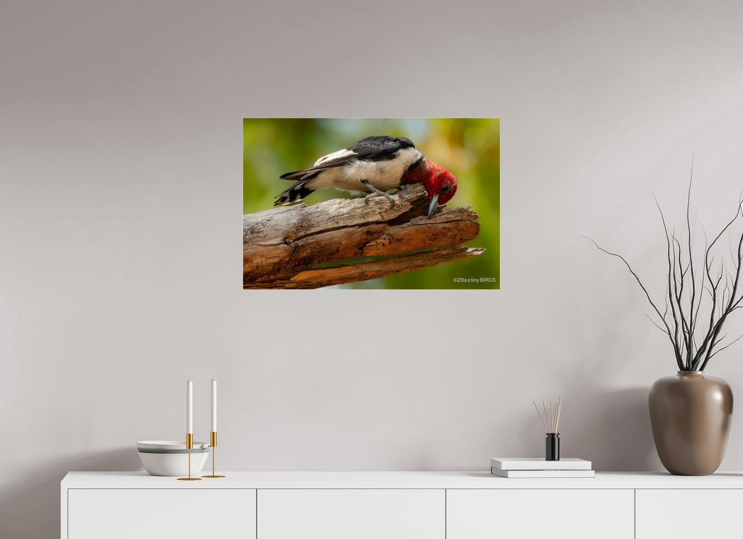30 x 20″, Photo Print Under Acrylic Glass Zillas Zoom Image 329