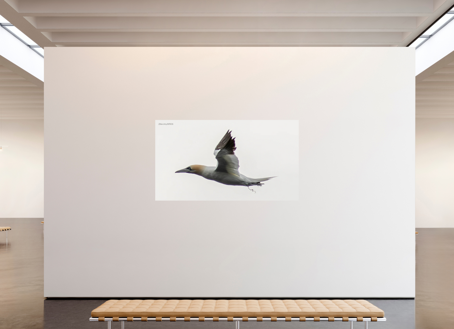 80 x 45″, Photo Print On Fuji Crystal DP II Zillas Zoom Image 331