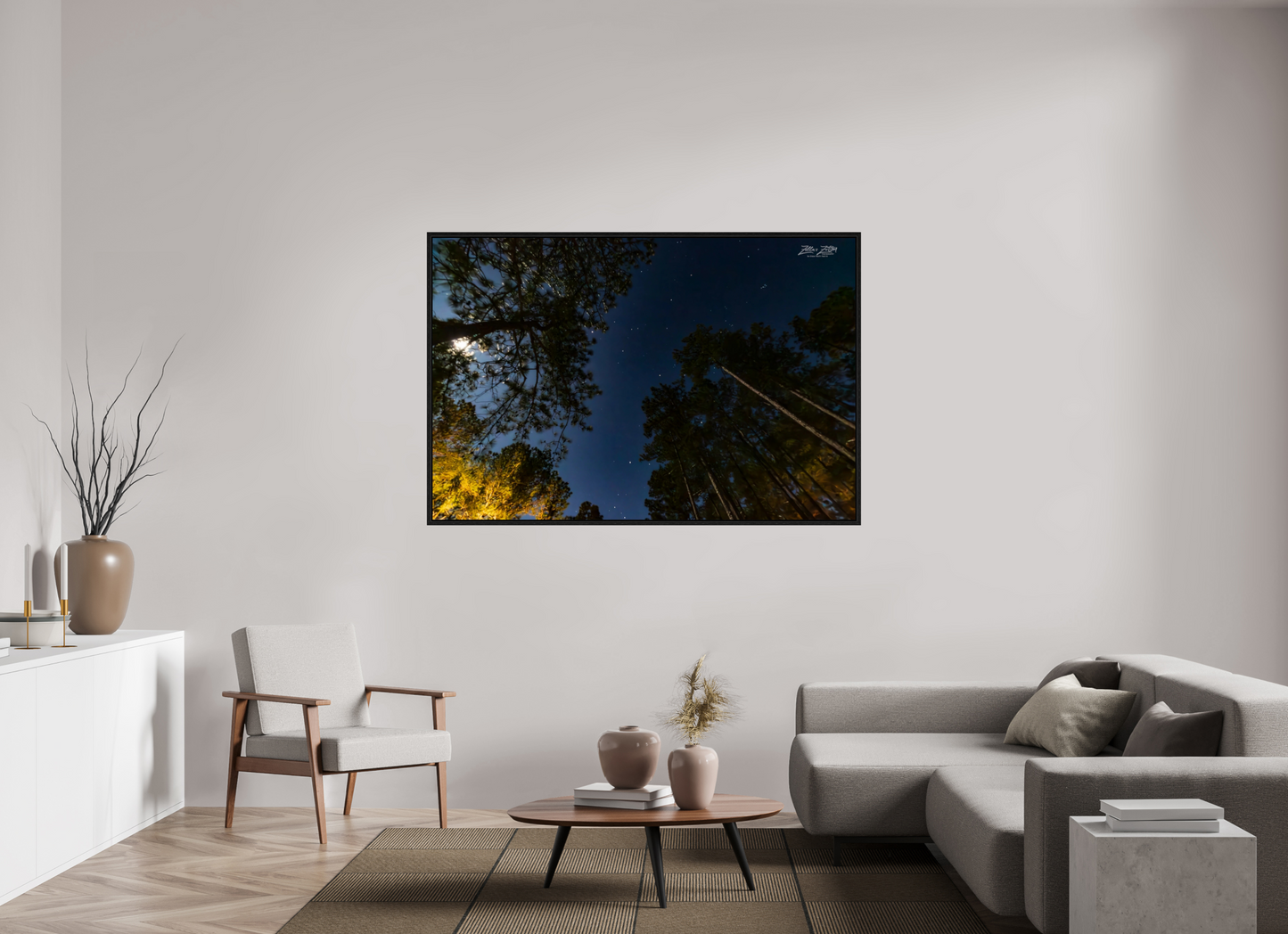 66 x 44″, Floater Frame Zillas zoom image 119