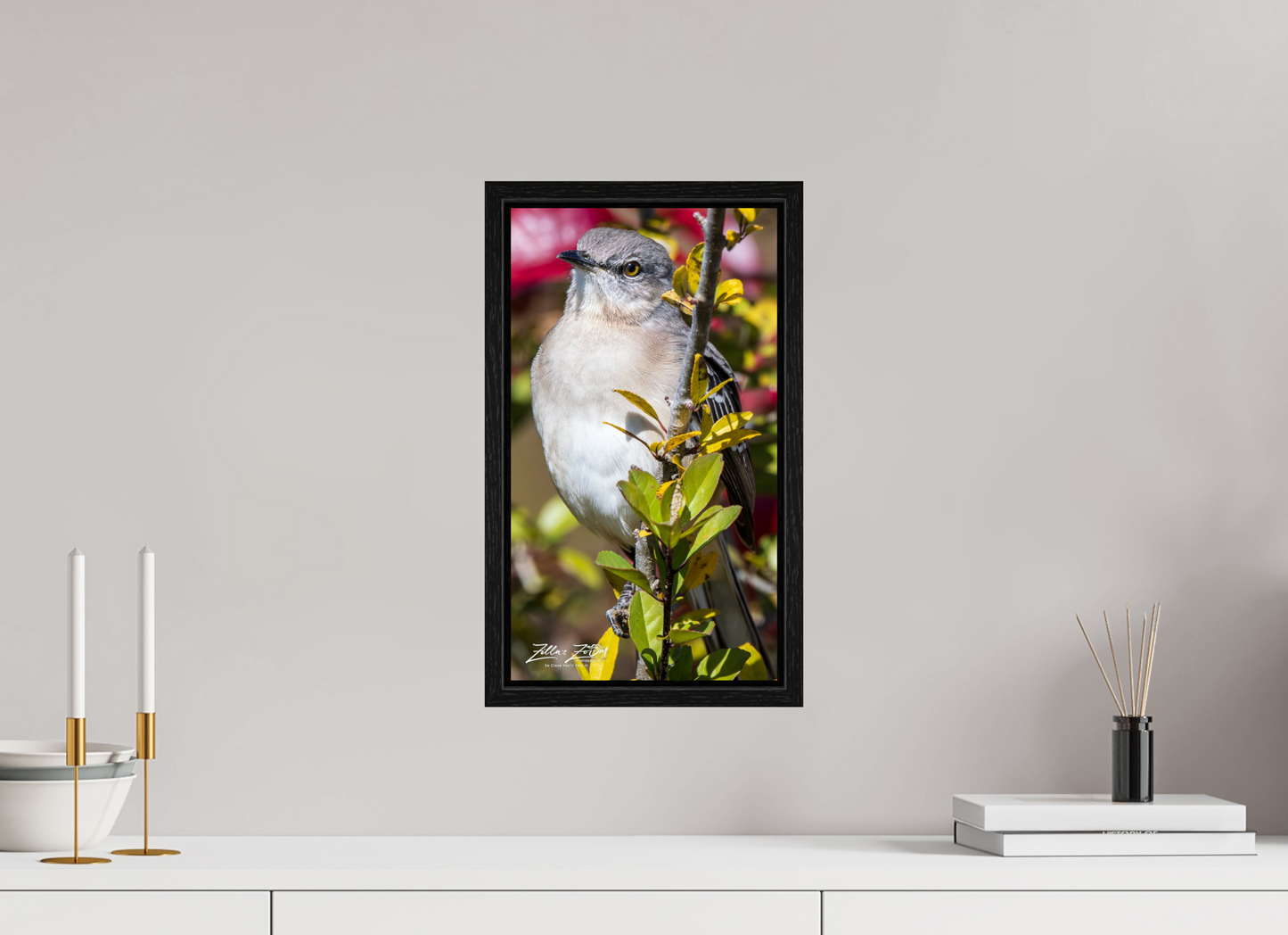 9 x 16″, Floater Frame Zillas Zoom Image 406