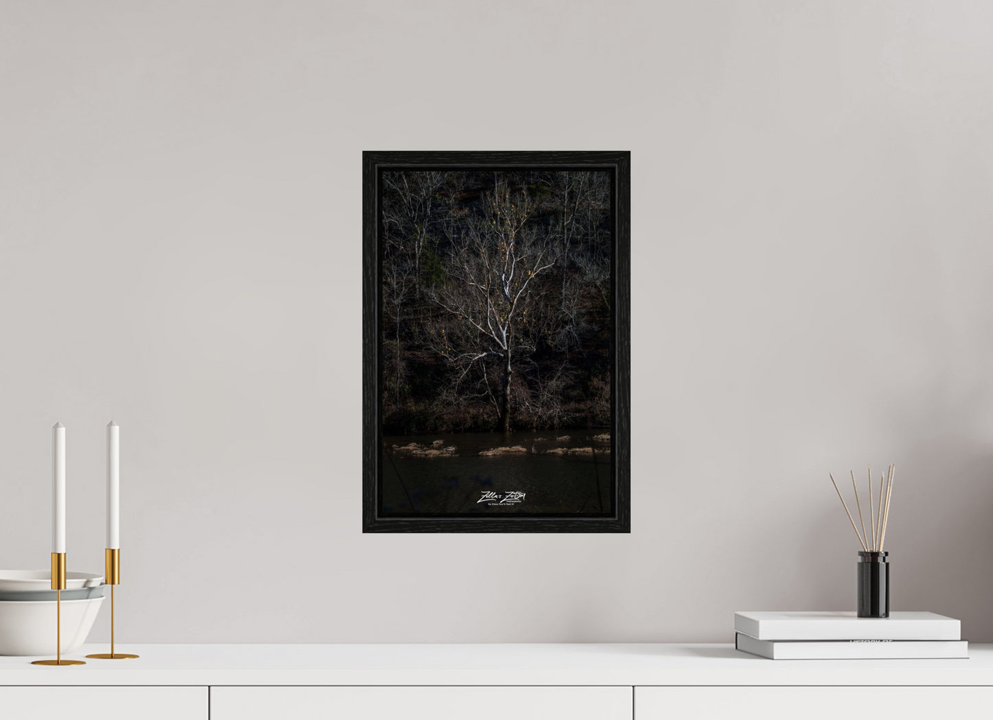 10 x 15″, Floater Frame Zillas Zoom Image 255