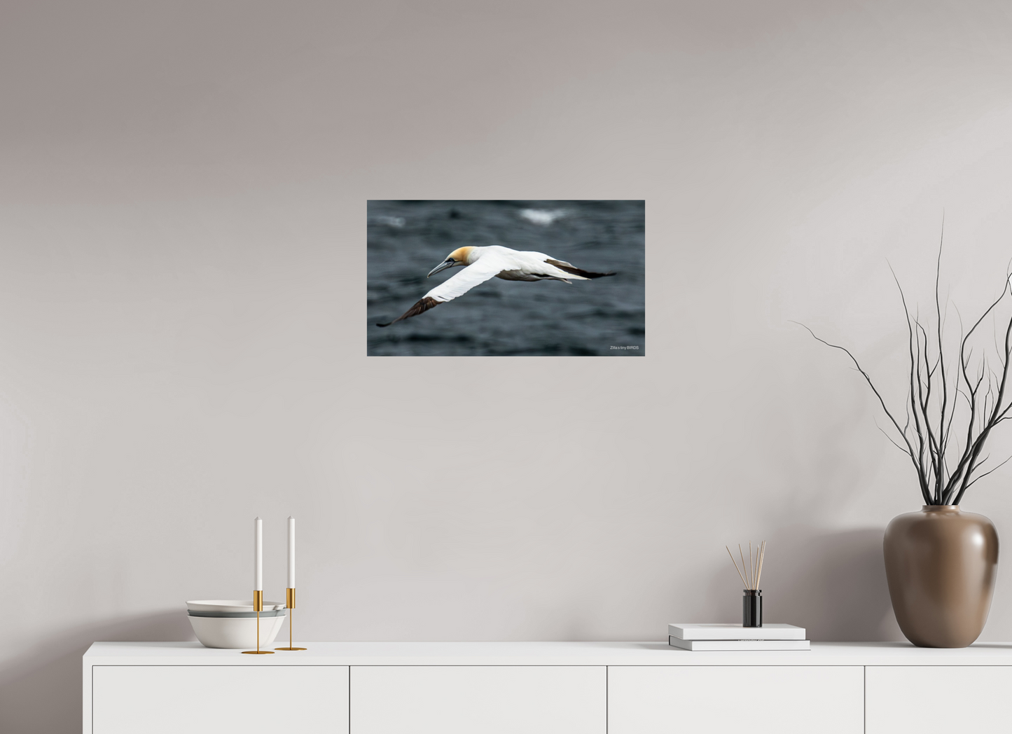 24 x 13.5″, Photo Print On Fuji Crystal DP II Zillas Zoom Image 324