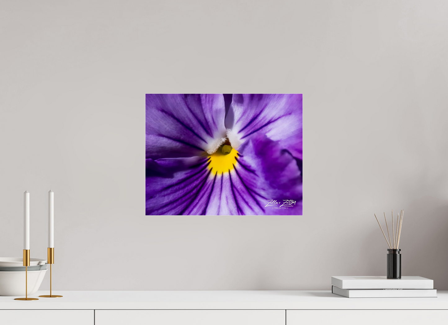15.5 x 12″, Photo Print Under Acrylic Glass Zillas Zoom Image 105