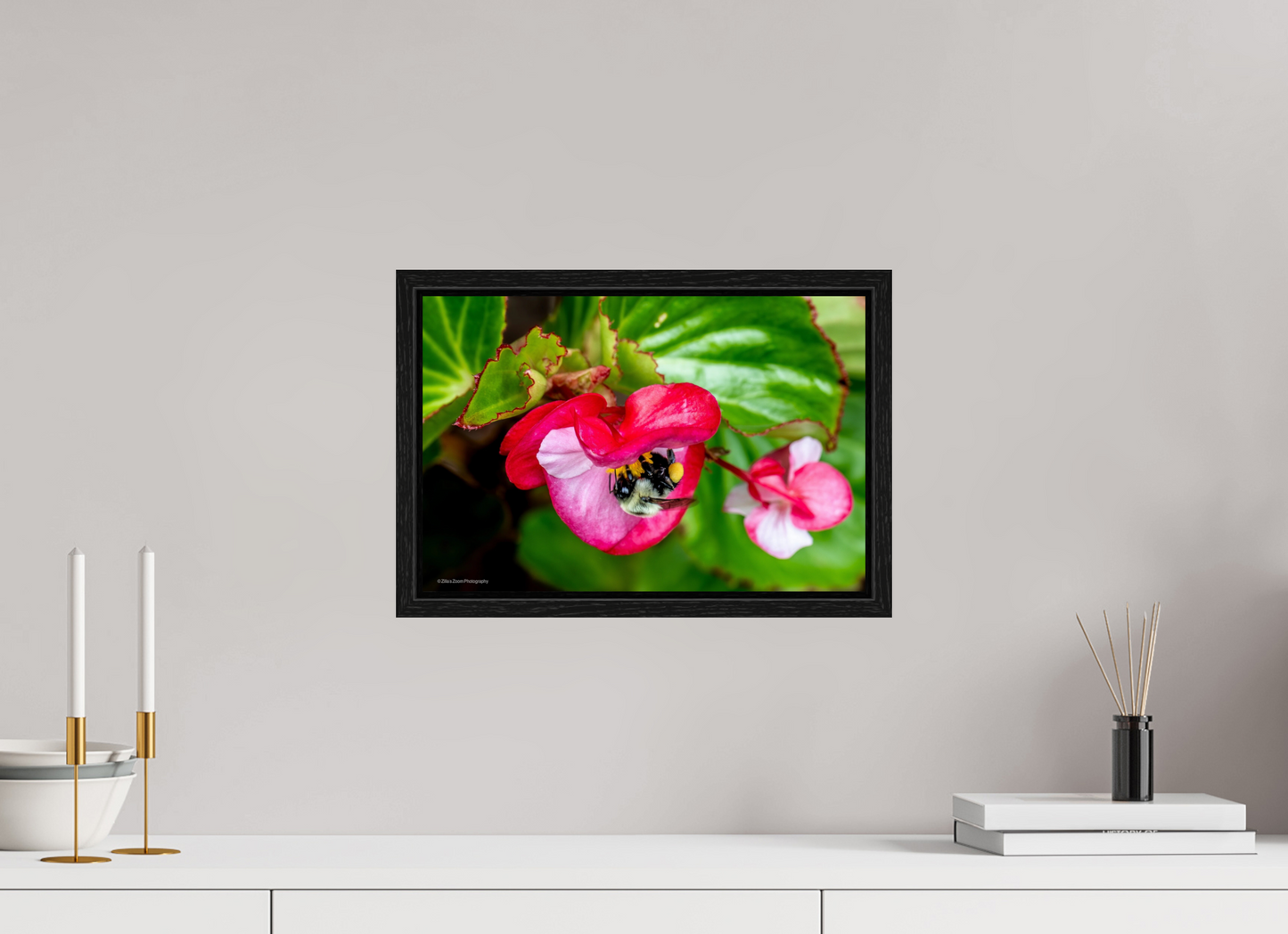 15 x 10″, Floater Frame Zillas Zoom Image 96