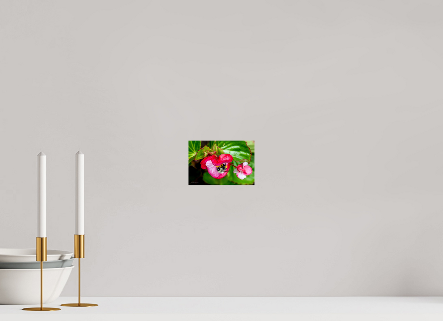 6 x 4″, Photo Print On Fuji Crystal DP II Zillas Zoom Image 96