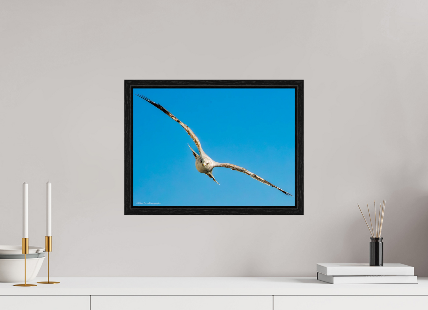 16.5 x 12″, Floater Frame Zillas Zoom Image 365