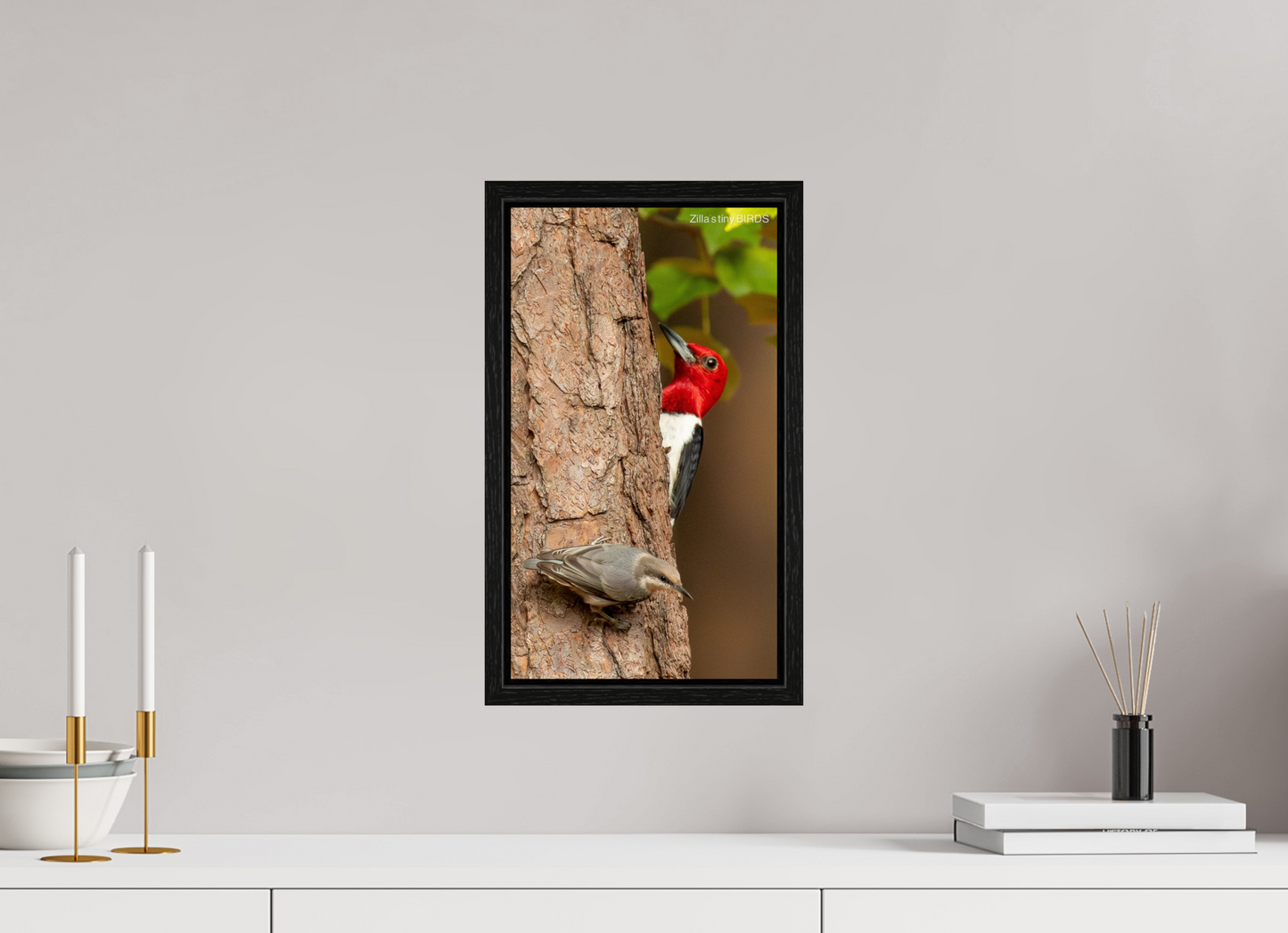 9 x 16″, Floater Frame Zillas Zoom Image 490