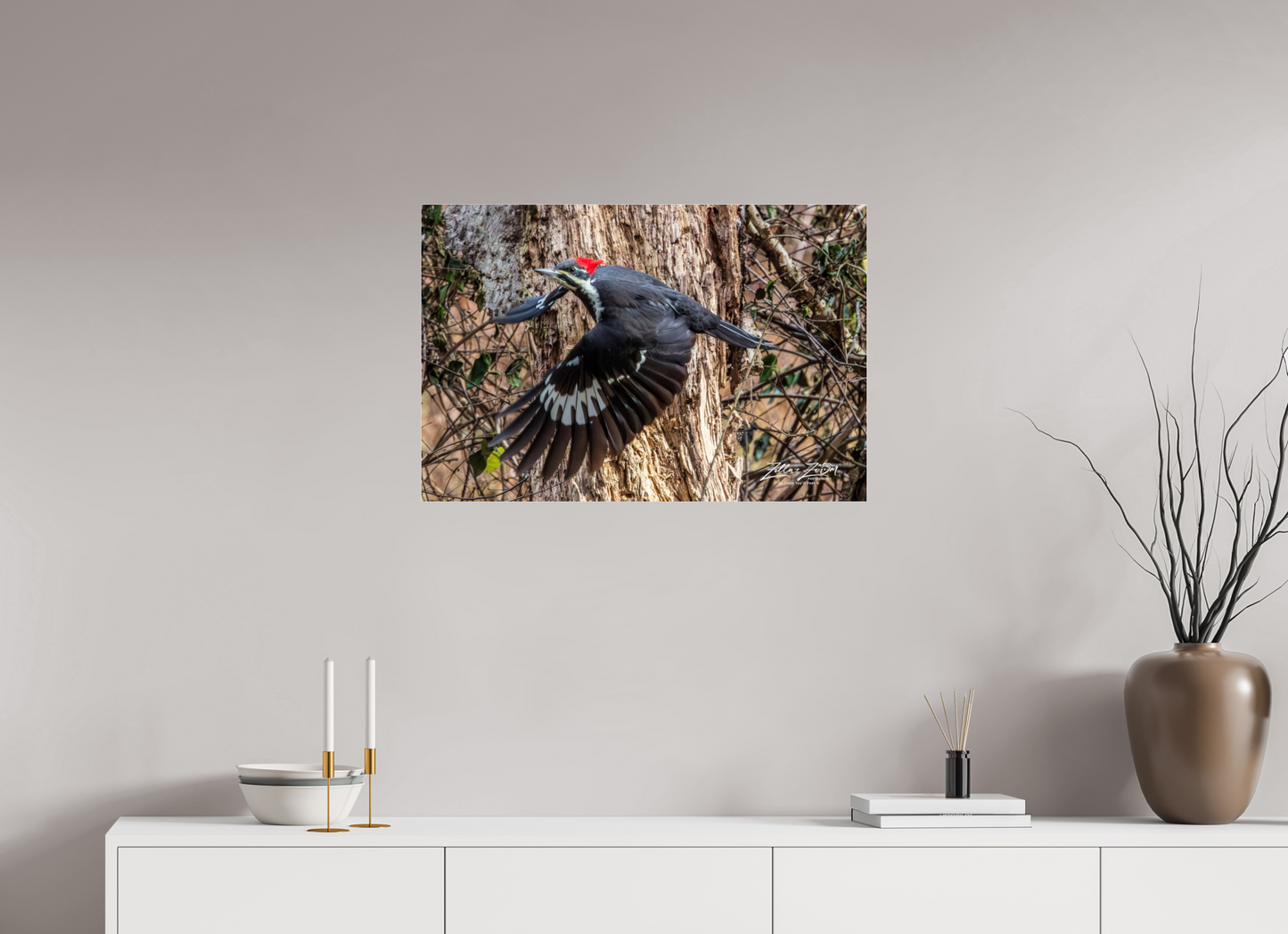 30 x 20″, Photo Print Under Acrylic Glass Zillas Zoom Image 285