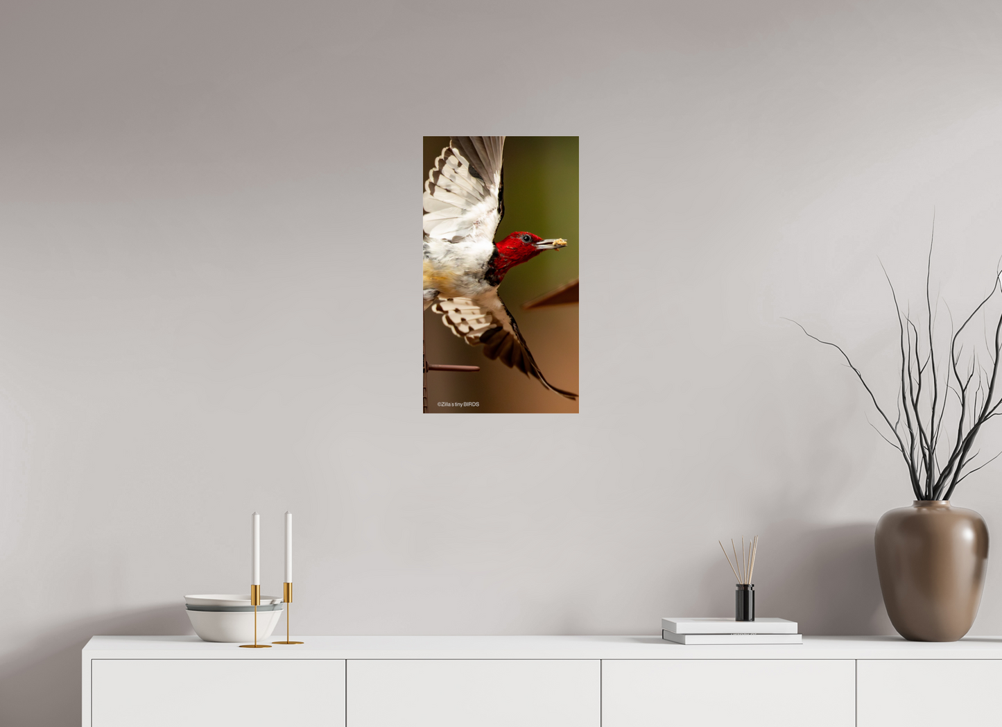 13.5 x 24″, Photo Print Under Acrylic Glass Zillas Zoom Image 399