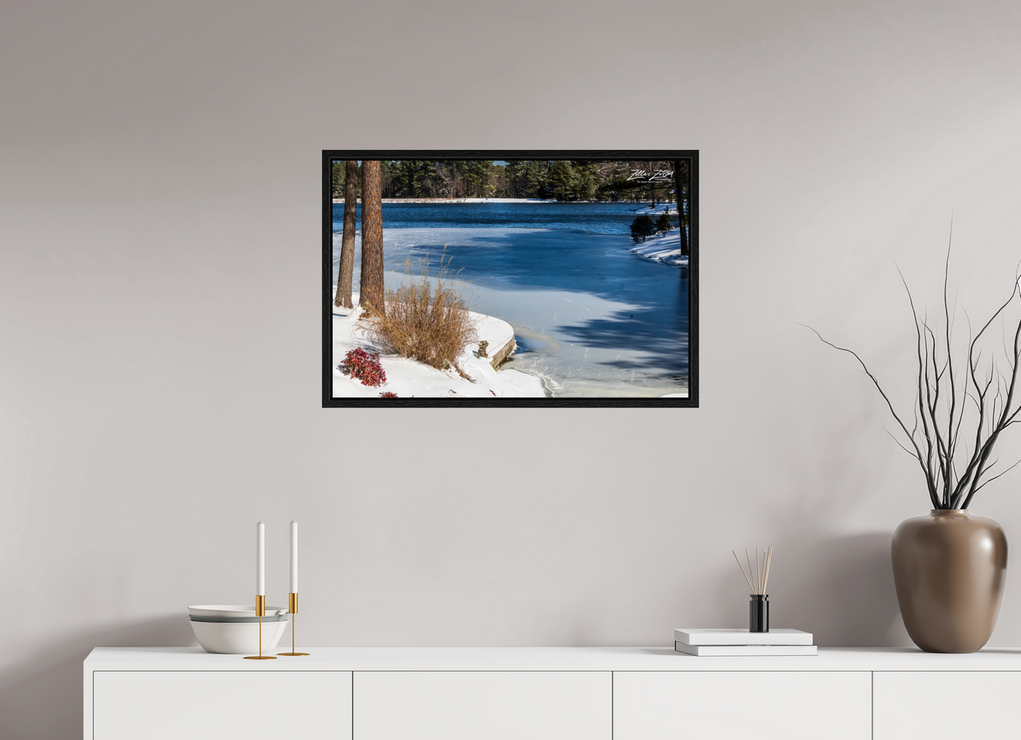 30 x 20″, Floater Frame Zillas Zoom Image 204