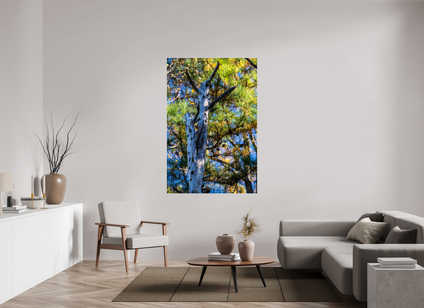 44 x 66″, Photo Print Under Acrylic Glass Zillas Zoom Image 252