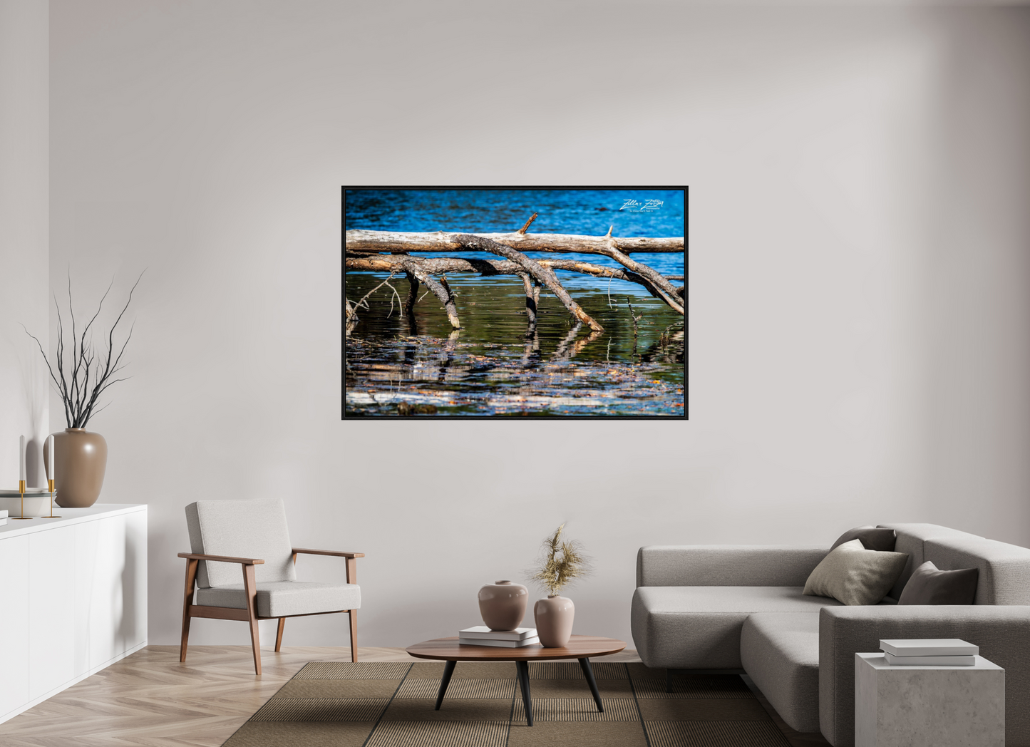 66 x 44″, Floater Frame Zillas Zoom Image 214