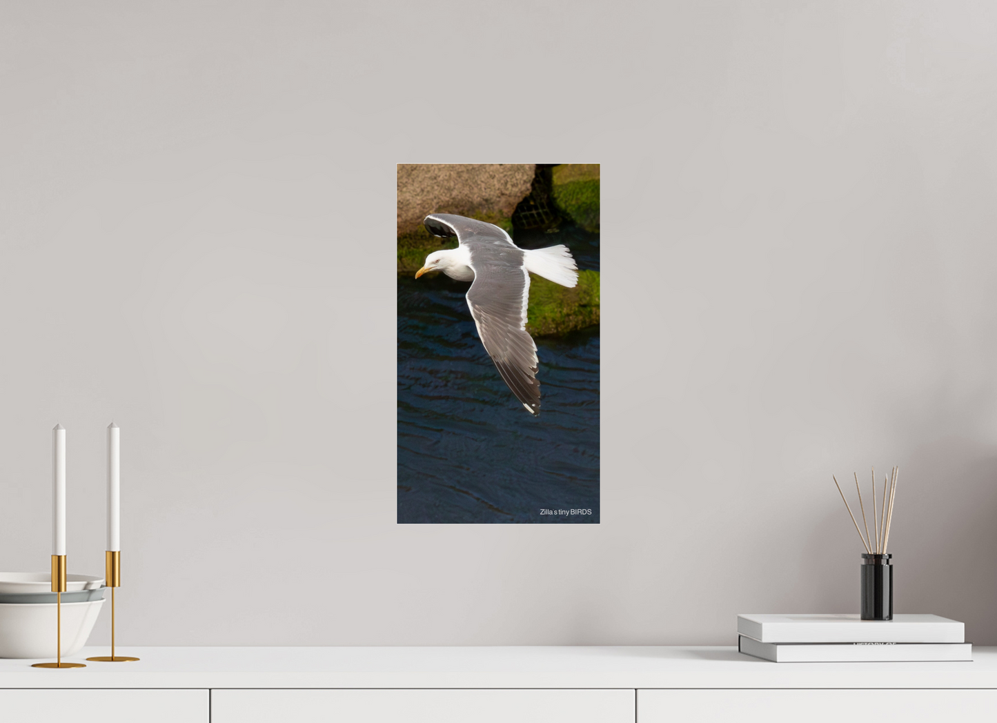 9 x 16″, Photo Print Under Acrylic Glass Zillas Zoom Image 476