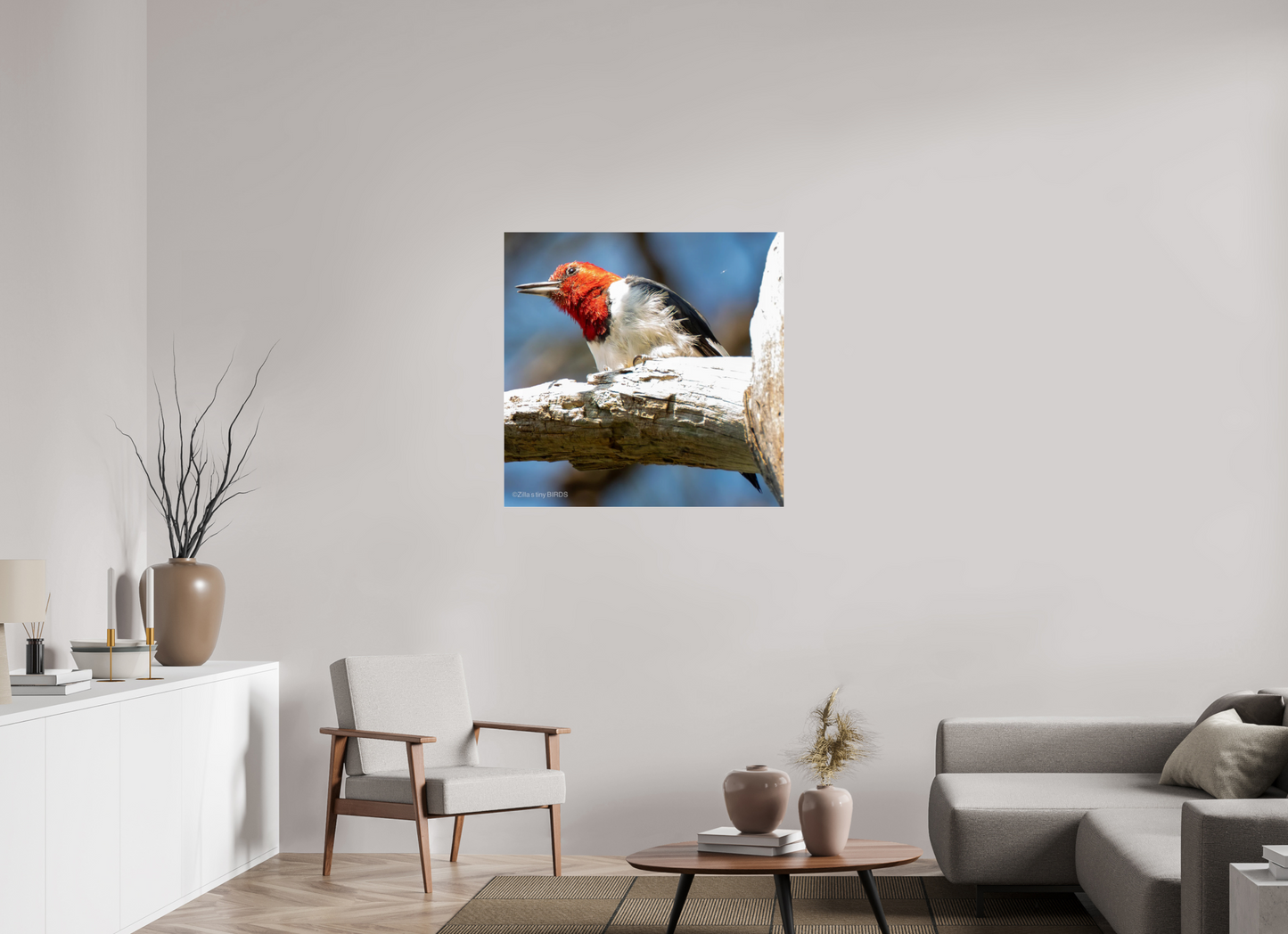 35.6 x 35″, Photo Print Under Acrylic Glass Zillas Zoom Image 273