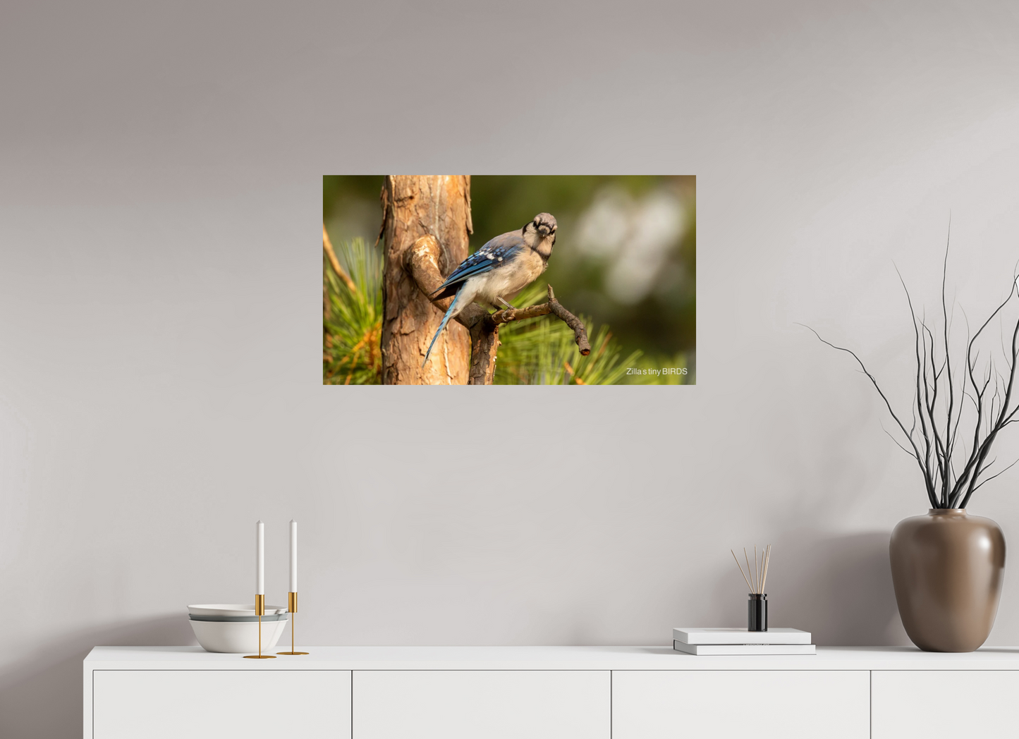 32 x 18″, Photo Print On Fuji Crystal DP II Zillas Zoom Image 385