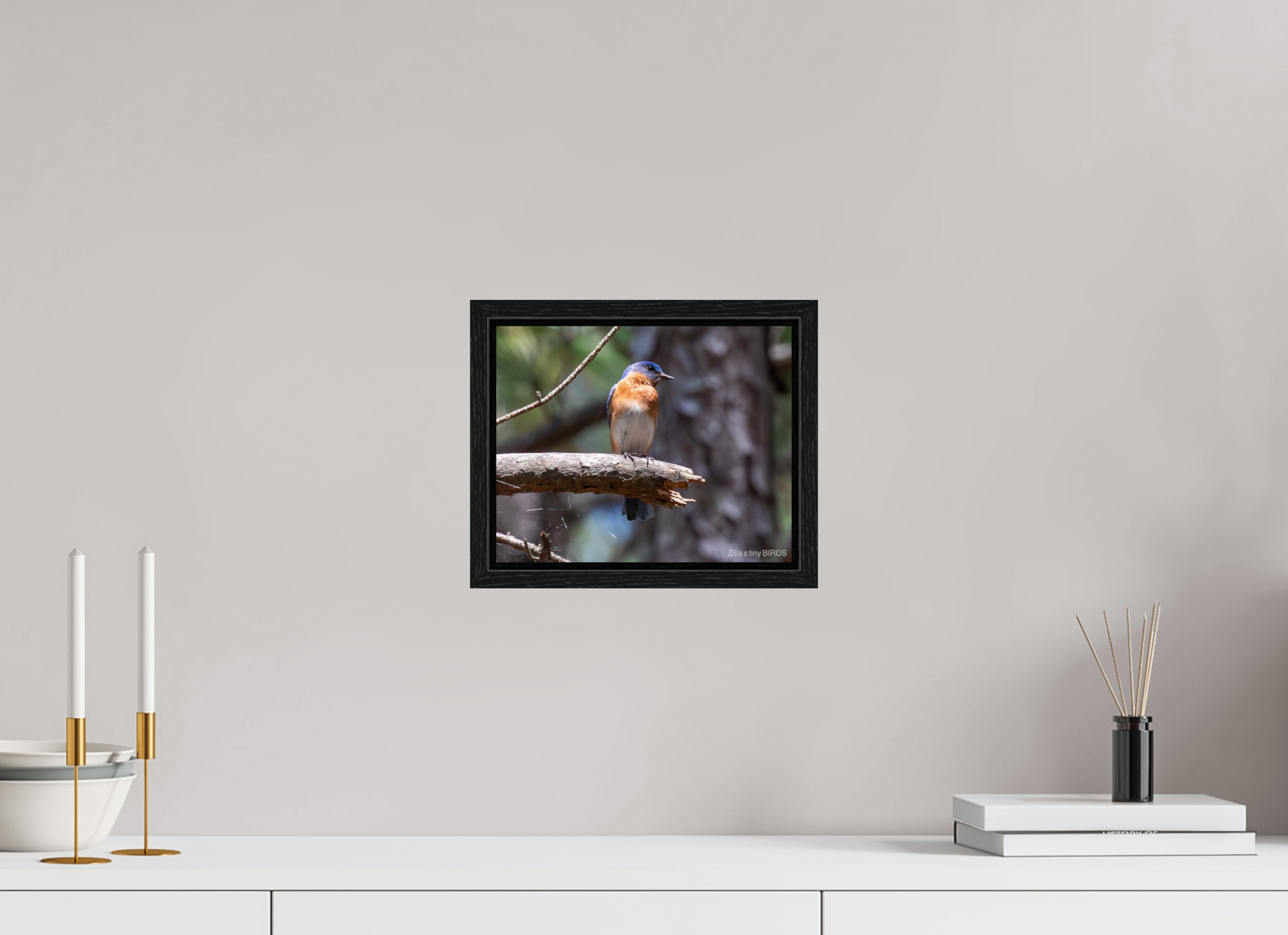 10 x 8″, Floater Frame Zillas Zoom Image 368