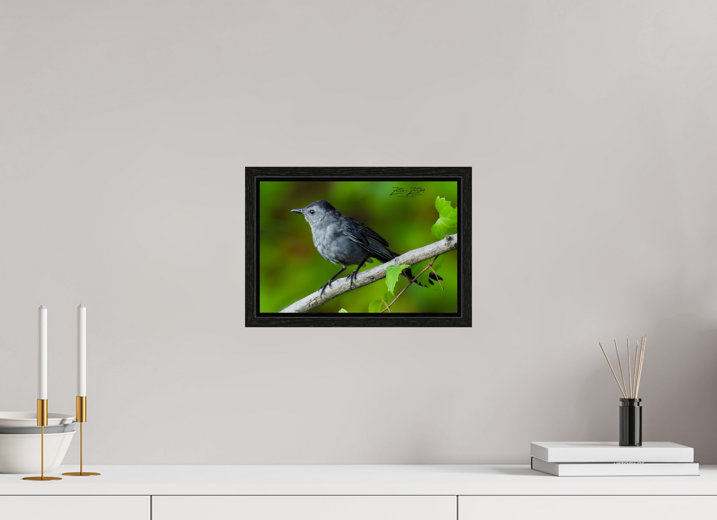 12 x 8″, Floater Frame Zillas Zoom Image 302