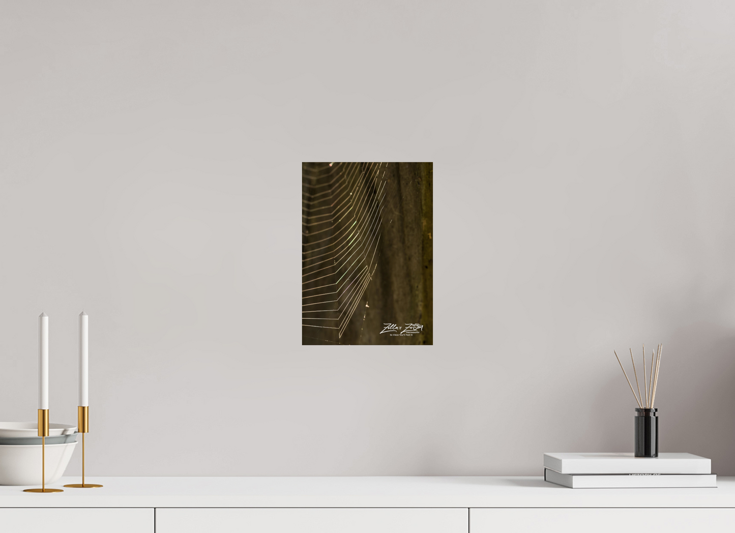8 x 11.2″, Photo Print On Fuji Crystal DP II Zillas Zoom Image 118