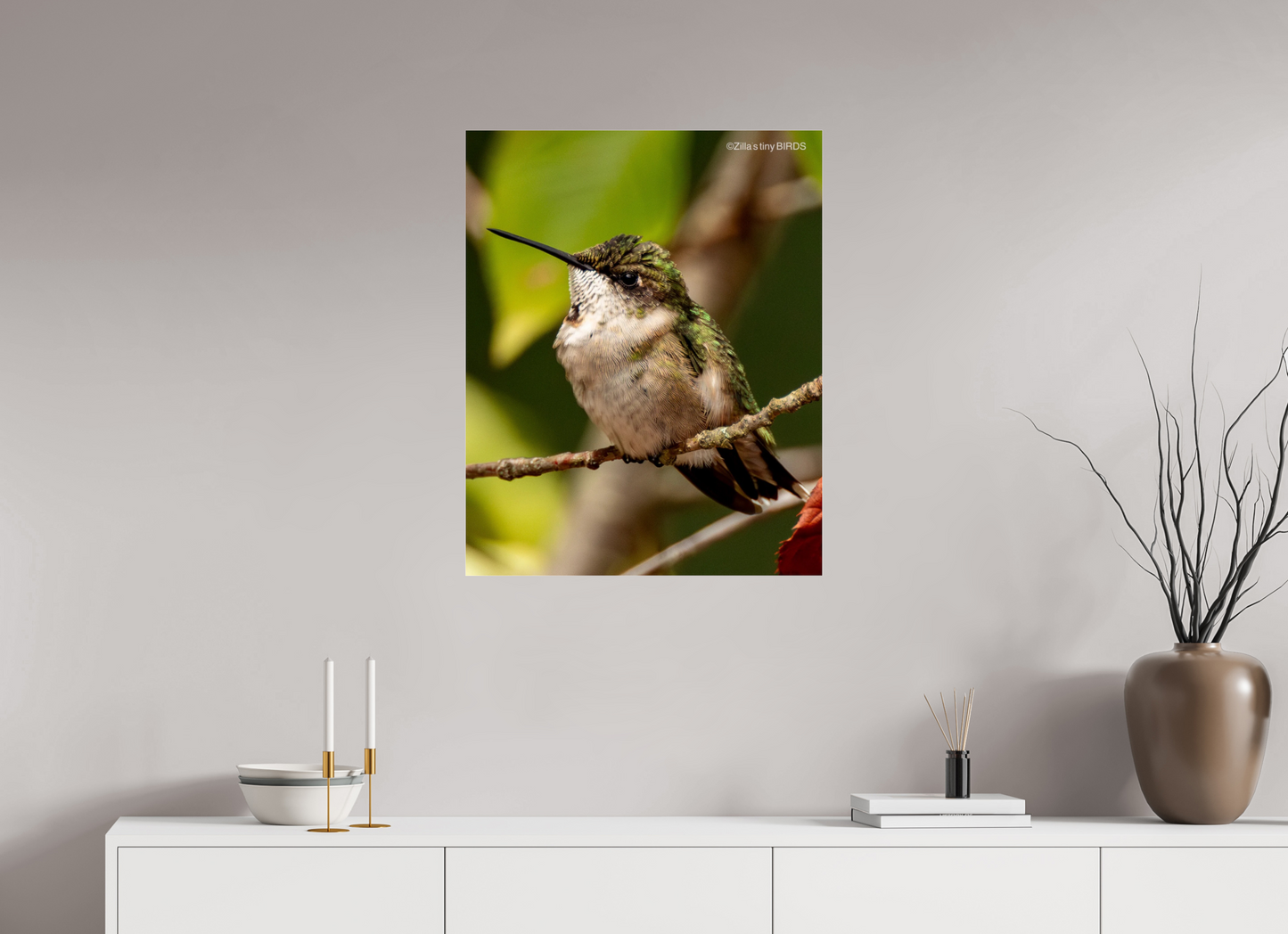 24 x 30″, Photo Print Under Acrylic Glass Zillas Zoom Image 515