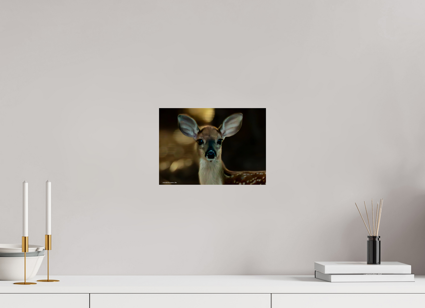 11.1 x 8″, Photo Print Under Acrylic Glass Zillas zoom image 135
