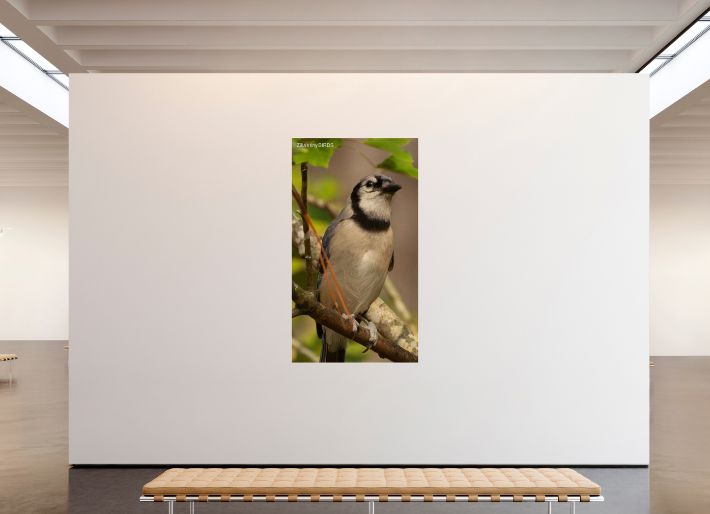 45 x 80″, Photo Print Under Acrylic Glass Zillas Zoom Image 493