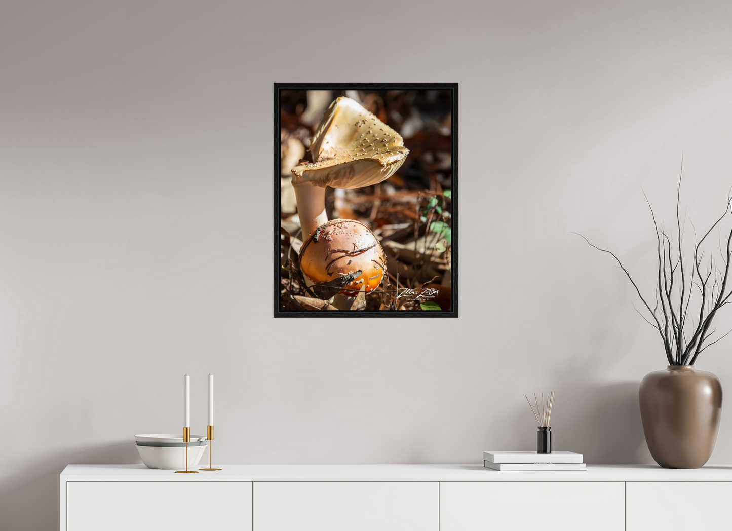 20 x 25.9″, Floater Frame Zillas Zoom Image 116