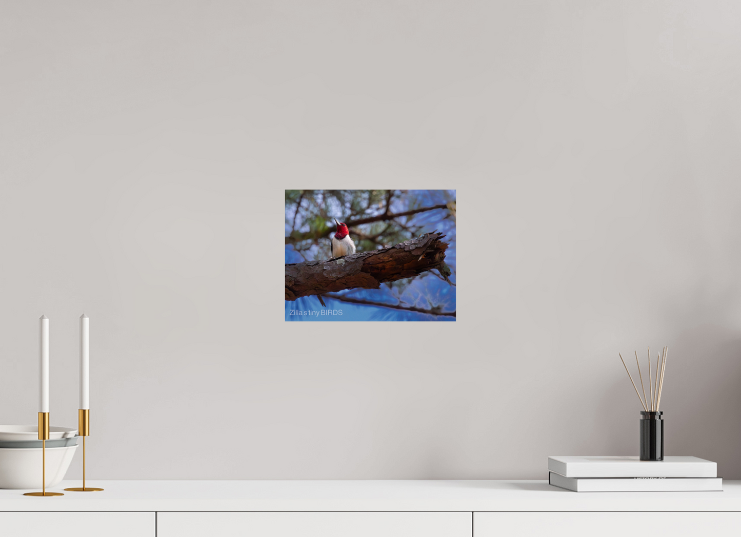10.4 x 8″, Photo Print On Fuji Crystal DP II Zillas Zoom Image 375