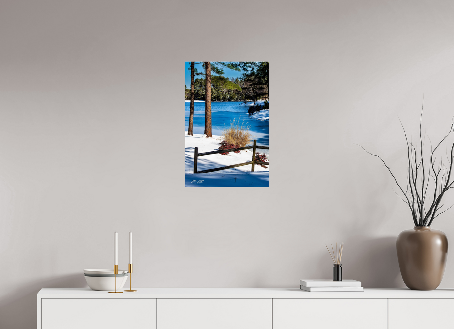 16 x 24″, Photo Print Under Acrylic Glass Zillas Zoom Image 253