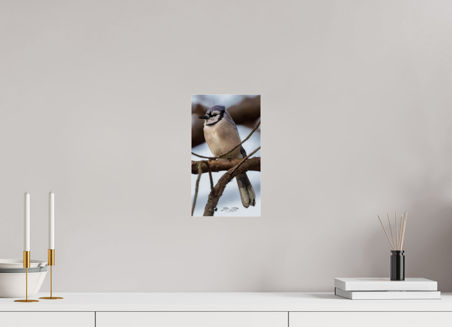 6.8 x 12″, Photo Print Under Acrylic Glass Zillas Zoom Image 446