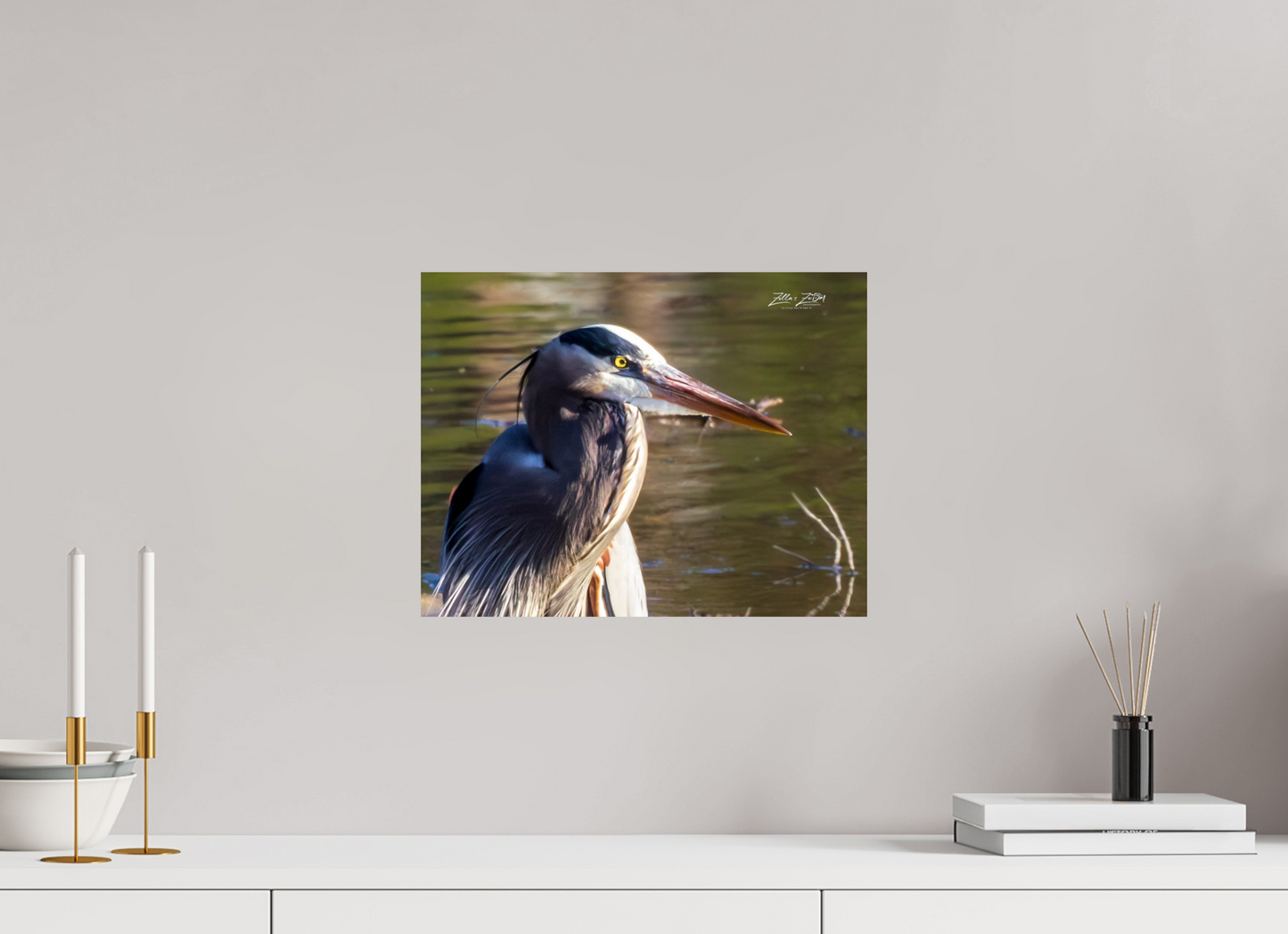 15.6 x 12″, Photo Print On Fuji Crystal DP II Zillas Zoom Image 267