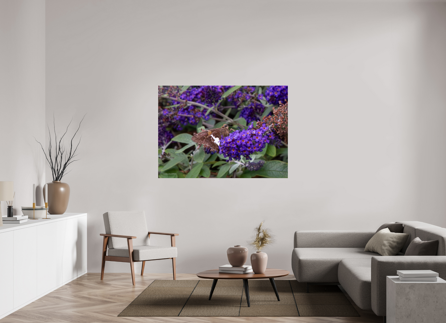 60.2 x 43″, Photo Print Under Acrylic Glass Zillas Zoom Image 60