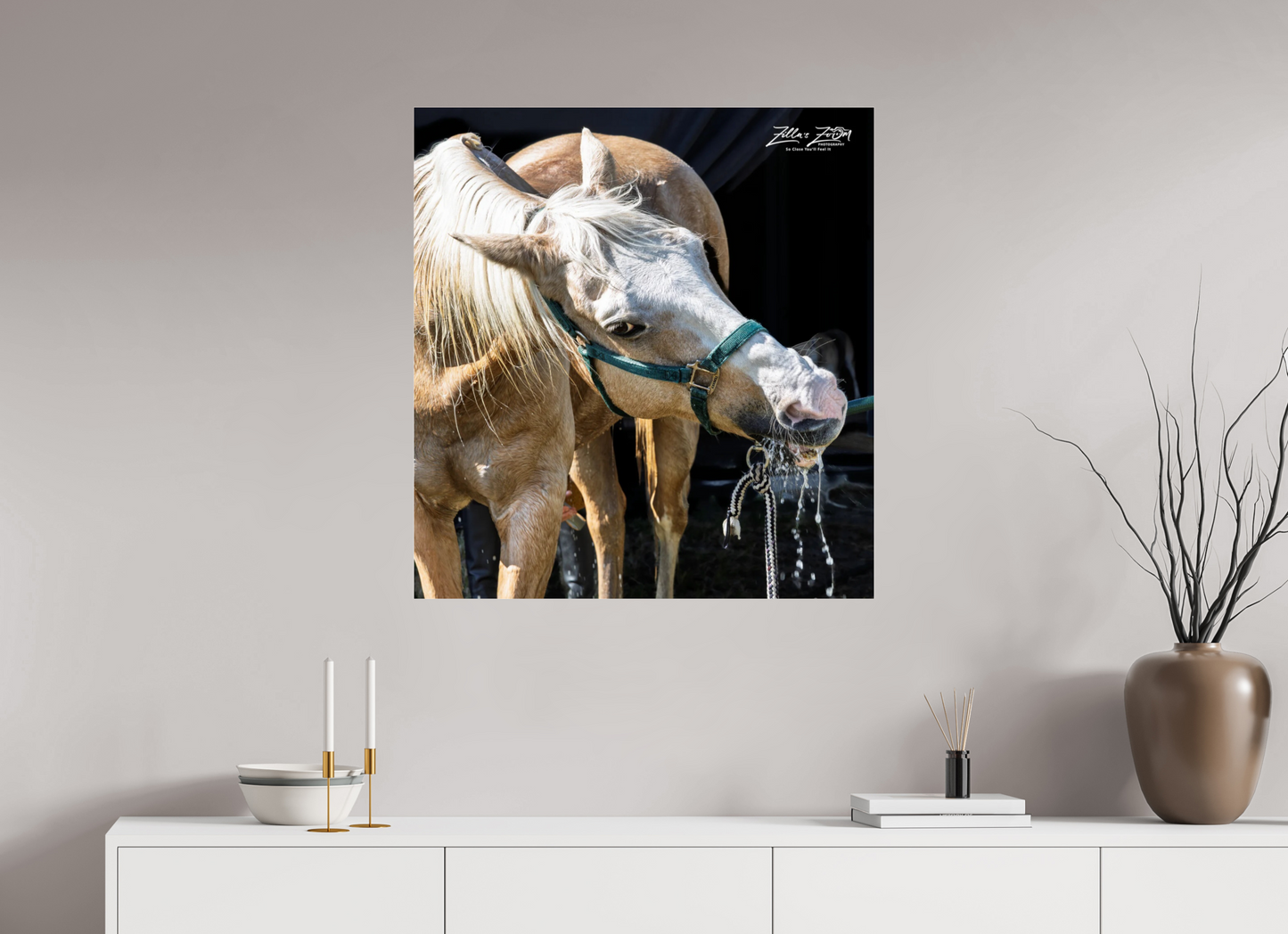 31 x 33.1″, Photo Print Under Acrylic Glass Zillas zoom image 148