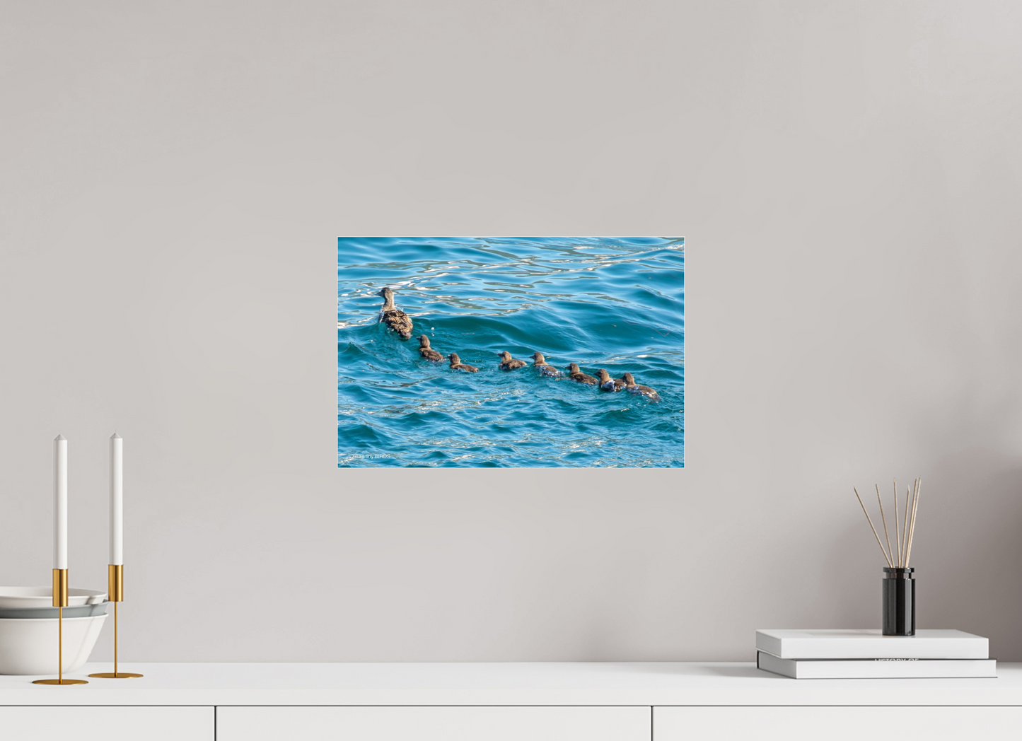 15 x 10″, Photo Print Under Acrylic Glass Zillas Zoom Image 355